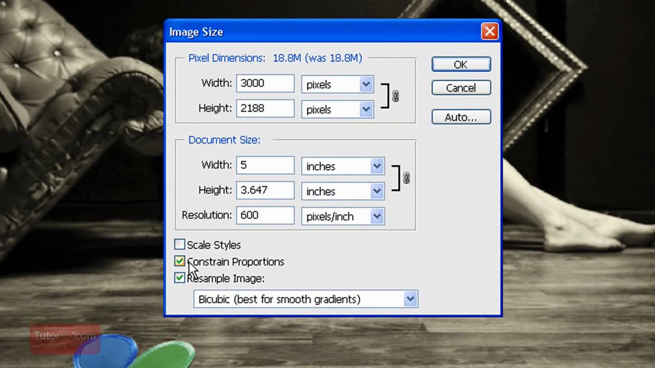 online image resizer in inches