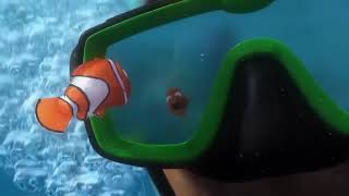 Finding Nemo On Hbo Family August 9, 2025 Aaron Eshenbaugh Alternative Universe