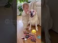 Pretty puppy 🤣 🐕 #dog #kids #playing #makeup #fypシ #fypシ゚viral #trending #viral #funny #love #lol
