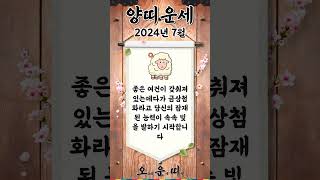 월간 양띠 운세 2024년 7월 #양띠 #오늘의운세 #내일의운세 #월간운세 #운세 #운세쇼츠