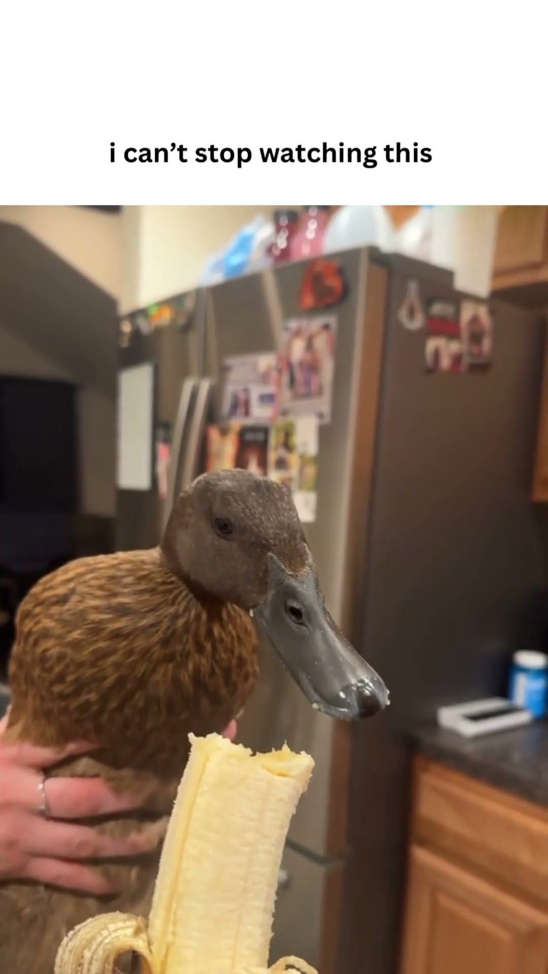 Bro did indeed want a banana
