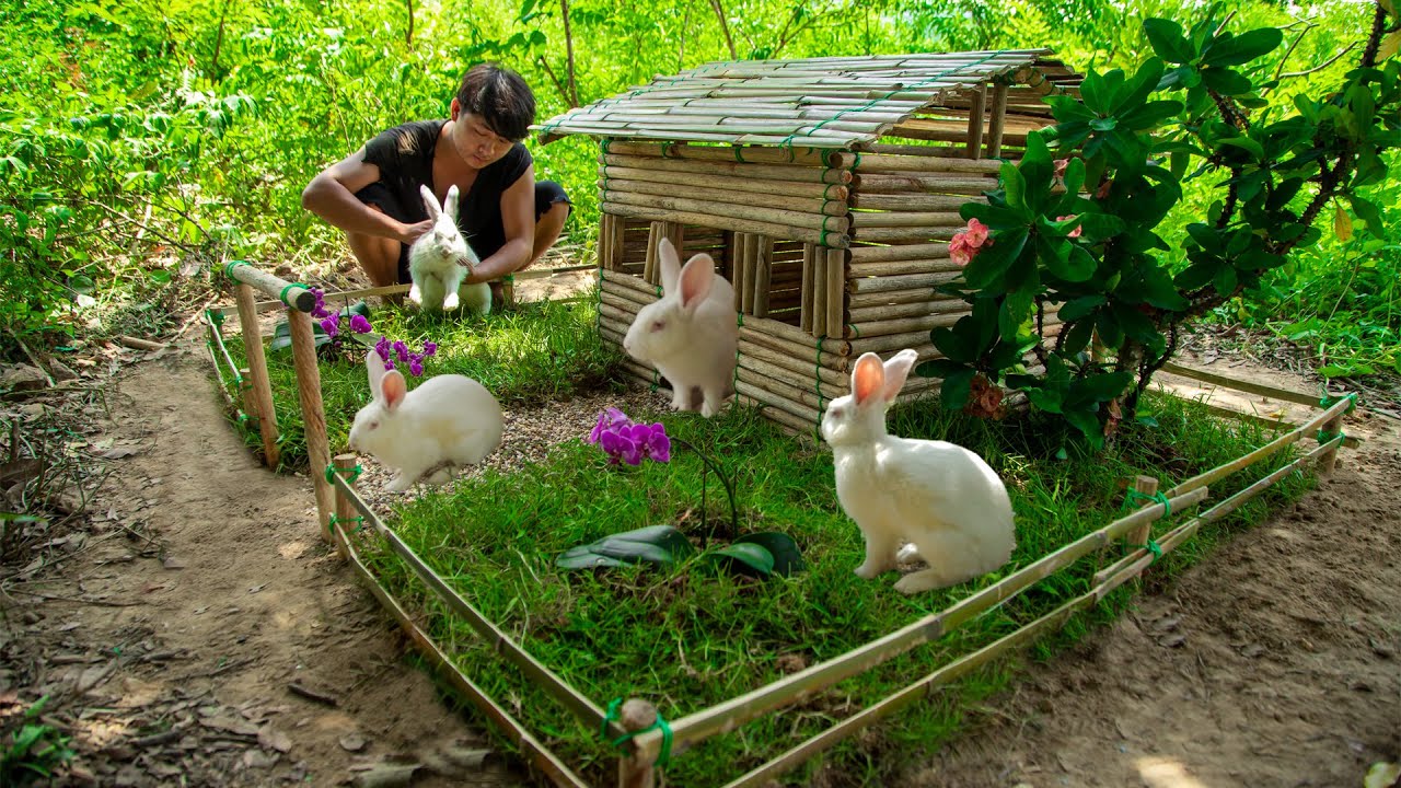 Build Houses Of Wooden And Bamboo Rabbits Primitive House Building Skills Playground For
