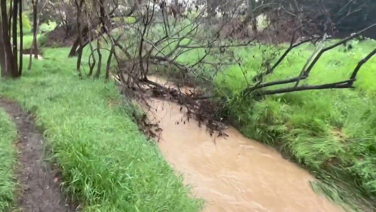 Depaseo por él río 