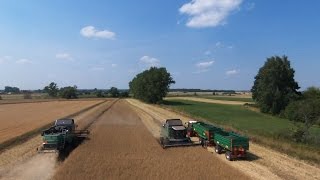 Rok 2015 z Mafią Lubelskie /Rodzik006/IUNG/IgorJD5820