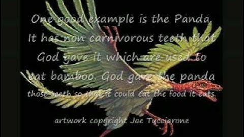 Archaeopteryx Not a missing link?  (ACTUALLY IT IS A TRANSITIONAL FOSSIL!!!)