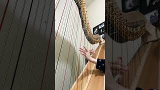 Solas - Jamie Duffy #harp #music #musiccover #solas #piano Resimi