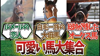 「最も容姿がいい牝馬ステークス」に対するみんなの反応集