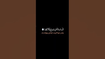 محمد صديق المنشاوي ¦ سورة المؤمنون ¦ رواية السوسي عن ابي عمرو