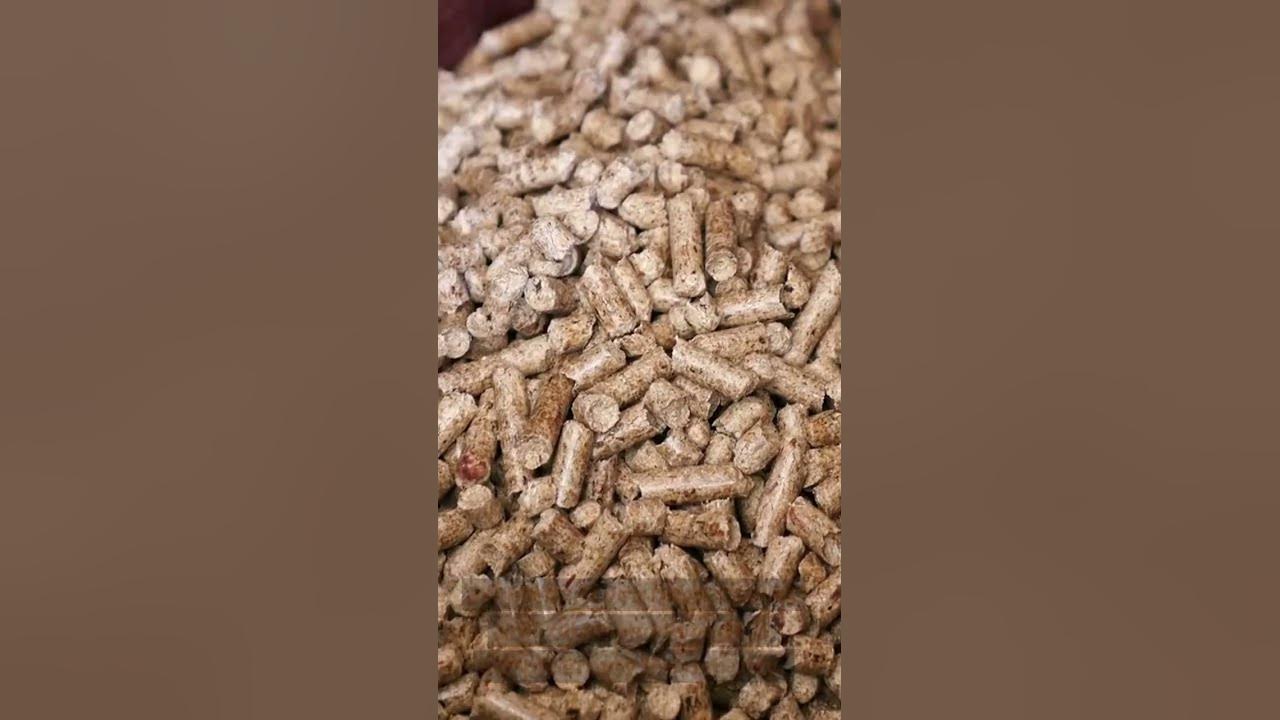 Are Pellet Grills Healthy? 3 Superb Benefits That You Can Get From This