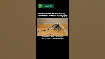 Mushroom-Powered Robots Controlled By Fungal Signals 🍄🤖⚡ | #robotics #science #ai #tech #innovation