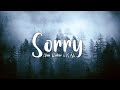 Alan Walker & ISÁK - Sorry (Lyric Video) 🎵