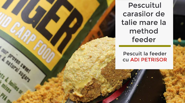 Pescuitul carasilor de talie la method feeder
