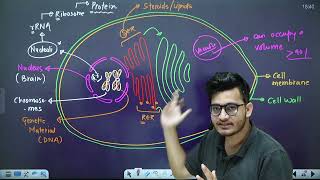 L4: Eukaryotic Cell Part-1 | Cell: The Unit of Life | 11th Class Biology | HyperBiologist Batch