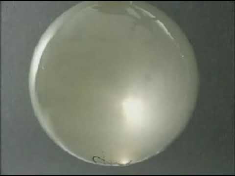 PHẢN ỨNG CỦA NHÔM (Al) VỚI CLO (Cl2) ll Ông giáo dạy hóa - youtube