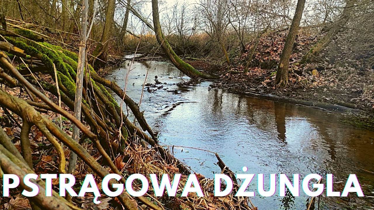 PSTRĄGI 2023 ROZPOCZĘCIE... ta rzeka wystawiła mnie na próbę!!!