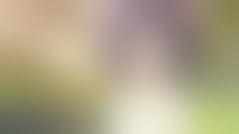 Ultimate Shitpost Status Compilation V3