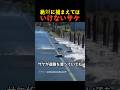 絶対に捕まえてはいけないサケ