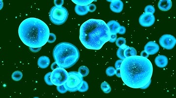 Heal your life - Louise Hay Affirmations part 4 (with male voice)