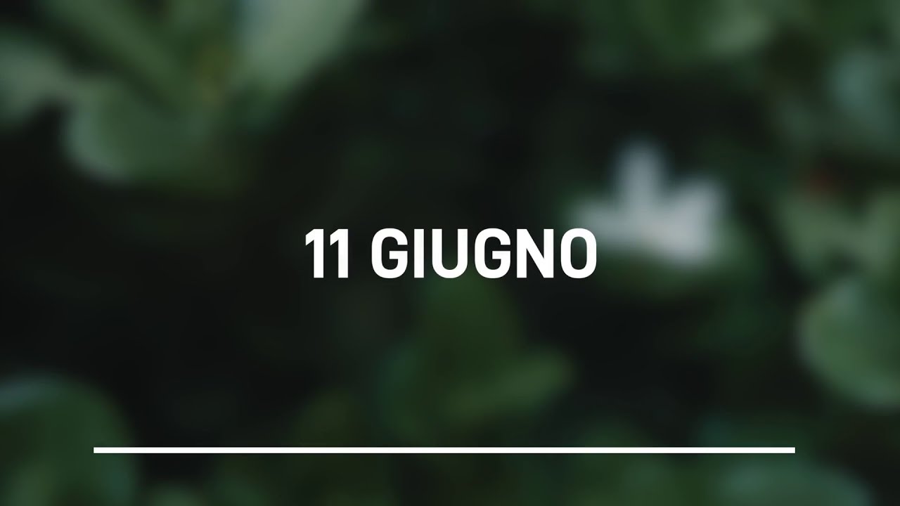 Meditazione Calendario “Parole di Vita” del 11 Giugno 2023 - YouTube