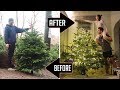 BEFORE & AFTER OUR CHRISTMAS TREE