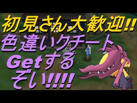 ポケモン ブラック 色違い チート