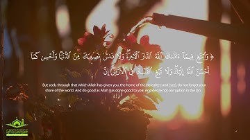 تلاوة رائعة: " وَأَحْسِن كَمَا أَحْسَنَ اللَّهُ إِلَيْكَ ۖ " | سورة القصص | قرآن