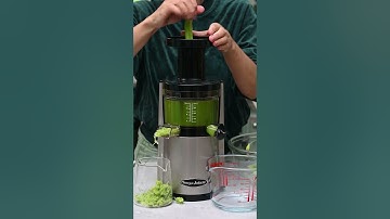 Homemade Celery Juice