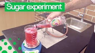 A science teacher shows how much sugar is in a fizzy soda drink, by...