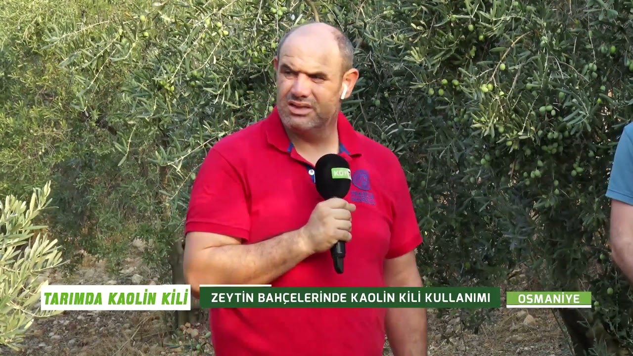 OSMANİYE KADİRLİ ZEYTİNDE ORMİX PLUS KULLANIM SONUÇLARI