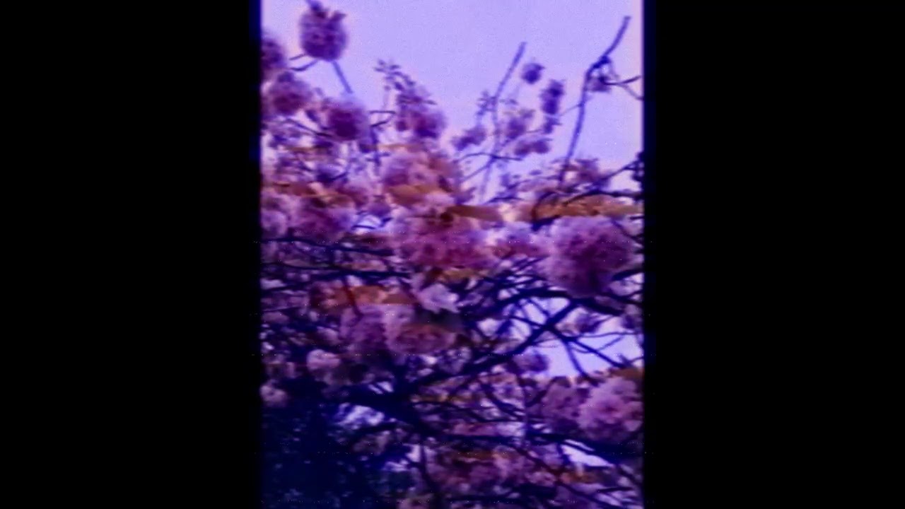 v1955s - acid folk, hardcore nofi, psycho-billy blues adlı videoyu YouTube'da izle v1955s - acid folk, hardcore nofi, psycho-billy blues adlı videoyu YouTube'da izle