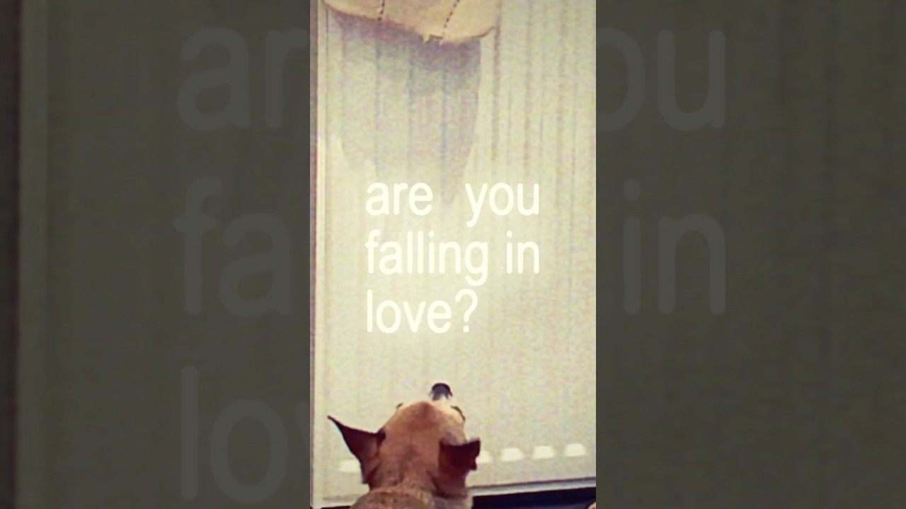 moment // Vierre Cloud // 