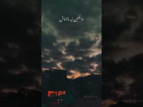 انتي اجمل من جمالك وائل جسار ستوريات حالات واتساب اقتباسات اشترك في قناة