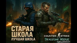 Играю в CS2 и Deadzone Rogue