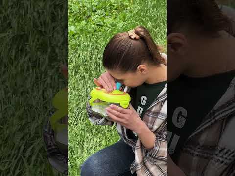 Набор исследователя с боксом для насекомых SD 803, видео 1