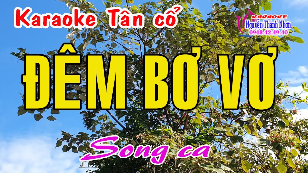 Karaoke tân cổ ĐÊM BƠ VƠ - SONG CA
