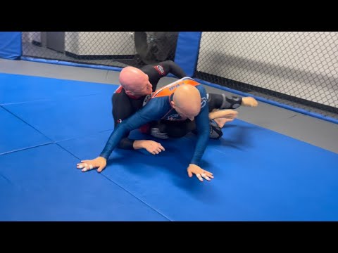 Knee Shield 1/2 Guard Sweep to Back take