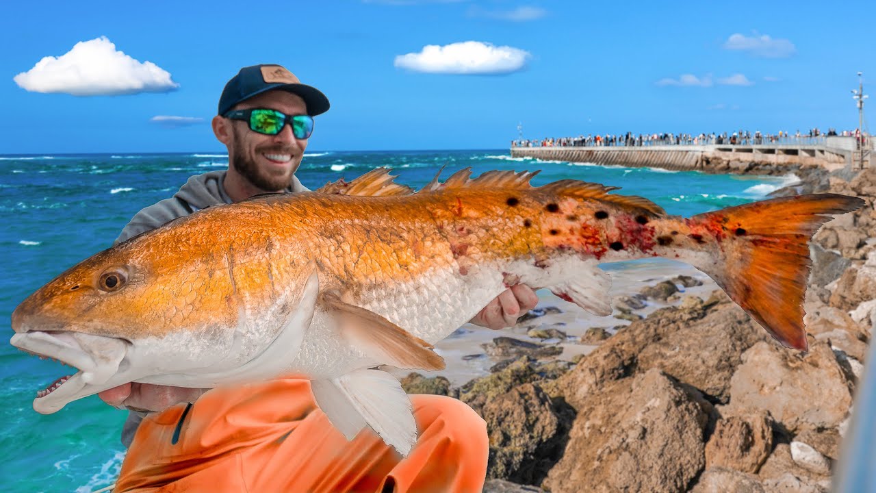 Giant Zombie Fish & Most Chaotic Pier! Catch Clean & Cook 