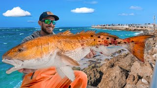 Giant Zombie Fish & Most Chaotic Pier! Catch Clean & Cook