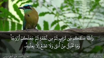 الصفحة 435 سورة فاطر القارئ المهندس أحمد فايز الحراسيس