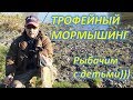 ТРОФЕЙНЫЙ МОРМЫШИНГ.  РЫБАЛКА С РЕБЯТНЕЙ