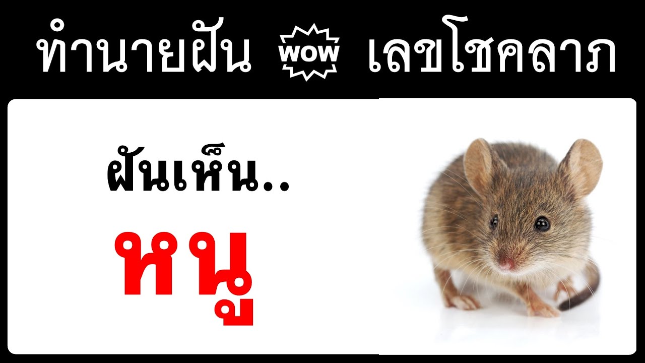 Ready go to ... https://youtu.be/biPB3SyL-vw [ à¸à¸±à¸à¹à¸«à¹à¸à¸«à¸à¸¹ #à¸à¸³à¸à¸²à¸¢à¸à¸±à¸ #à¸à¸³à¸à¸²à¸¢à¸à¸±à¸à¹à¸¥à¸°à¹à¸¥à¸à¹à¸à¸à¸¥à¸²à¸ ]