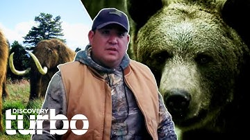 The Mystery Behind Alaska