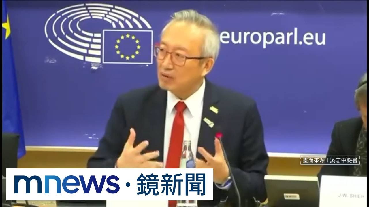 獨家／台灣外交部政次首獲邀！　吳志中進歐洲議會防委會演講