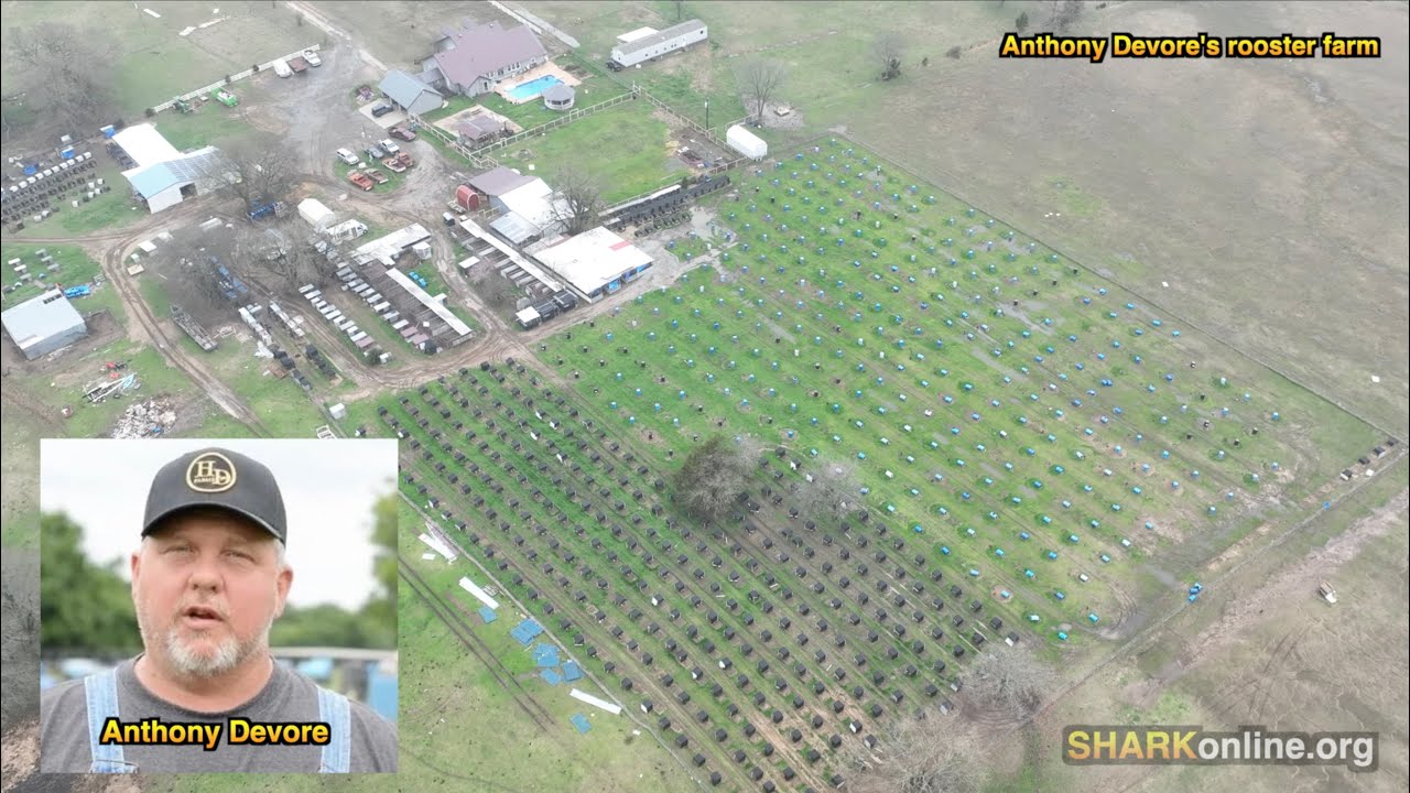 SHARK Exposes More Oklahoma Breeders YouTube