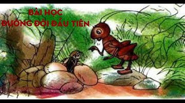 Bài học đường đời đầu tiên