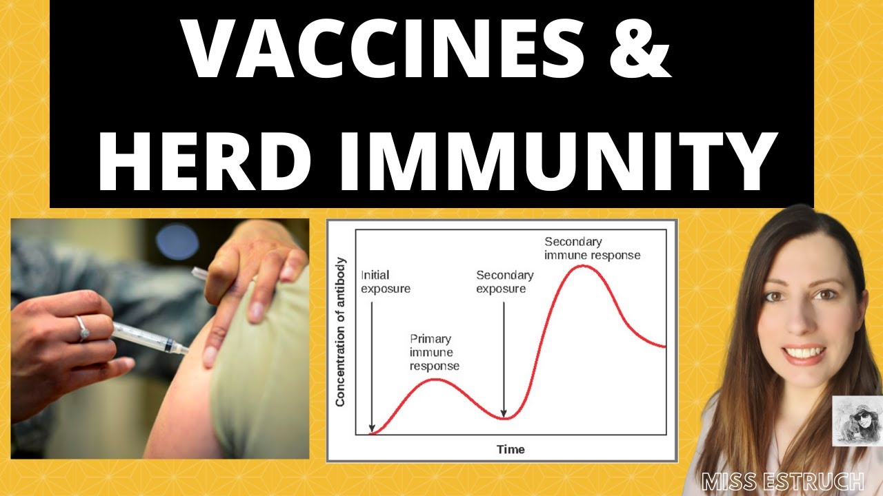 A level Biology VACCINATIONS Passive And Active Immunity The