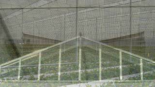 horti screens for greenhouses