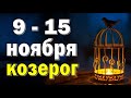 КОЗЕРОГ 👍 неделя с 9 по 15 ноября. Таро прогноз гороскоп