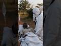 VINE EBOLA IN ROMANIA?
