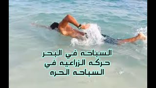 تعلم السباحة فى البحر الحلقة الثالثة  حركه الذراعين في السباحه الحره